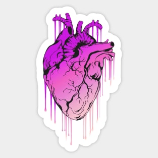 Pink Raimbow Human Heart Anatomy painting Sticker